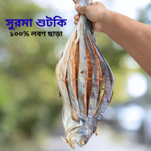 সুরমা শুটকি মাছ